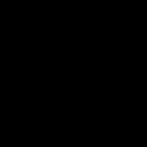 Meet your Posher, Zulema